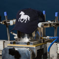 Chainstitch Bronco Trucker SnapBack Cap