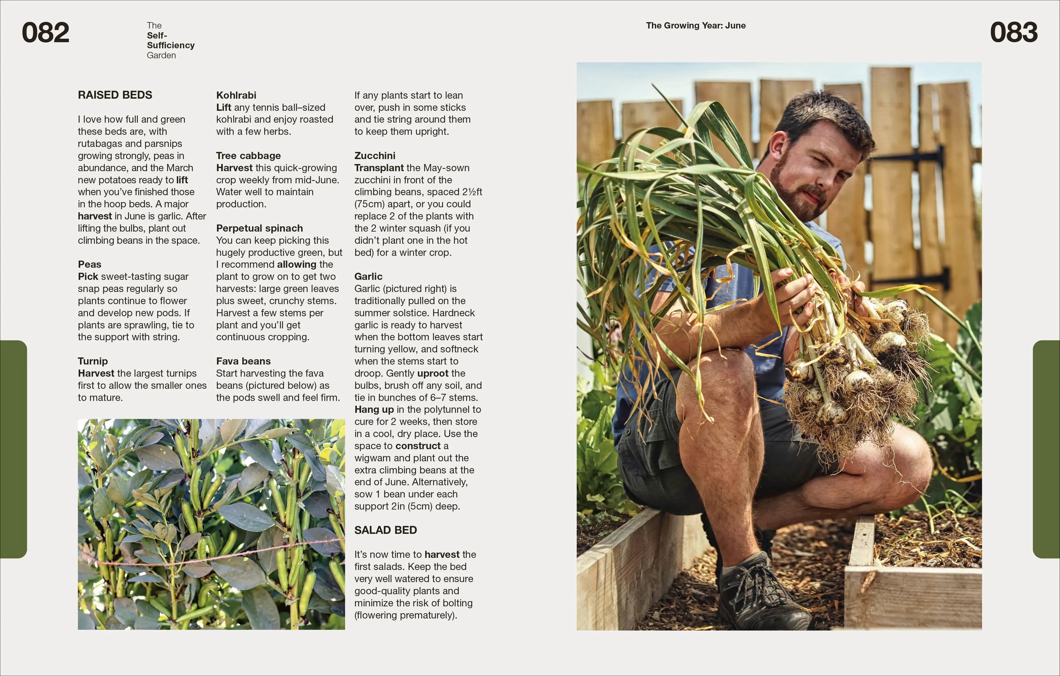 Page from a gardening book showing a person holding harvested onions with text on raised beds.