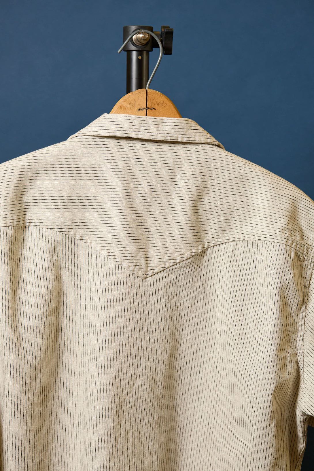 Western Linen in Pinstripe Back
