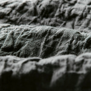 i+w x richter goods dobby woven pearl snap Fabric