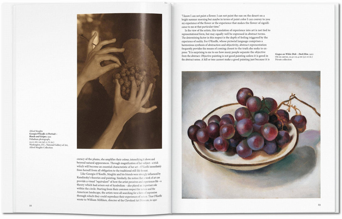 Open book showing a page with a still life painting of grapes and another with text.