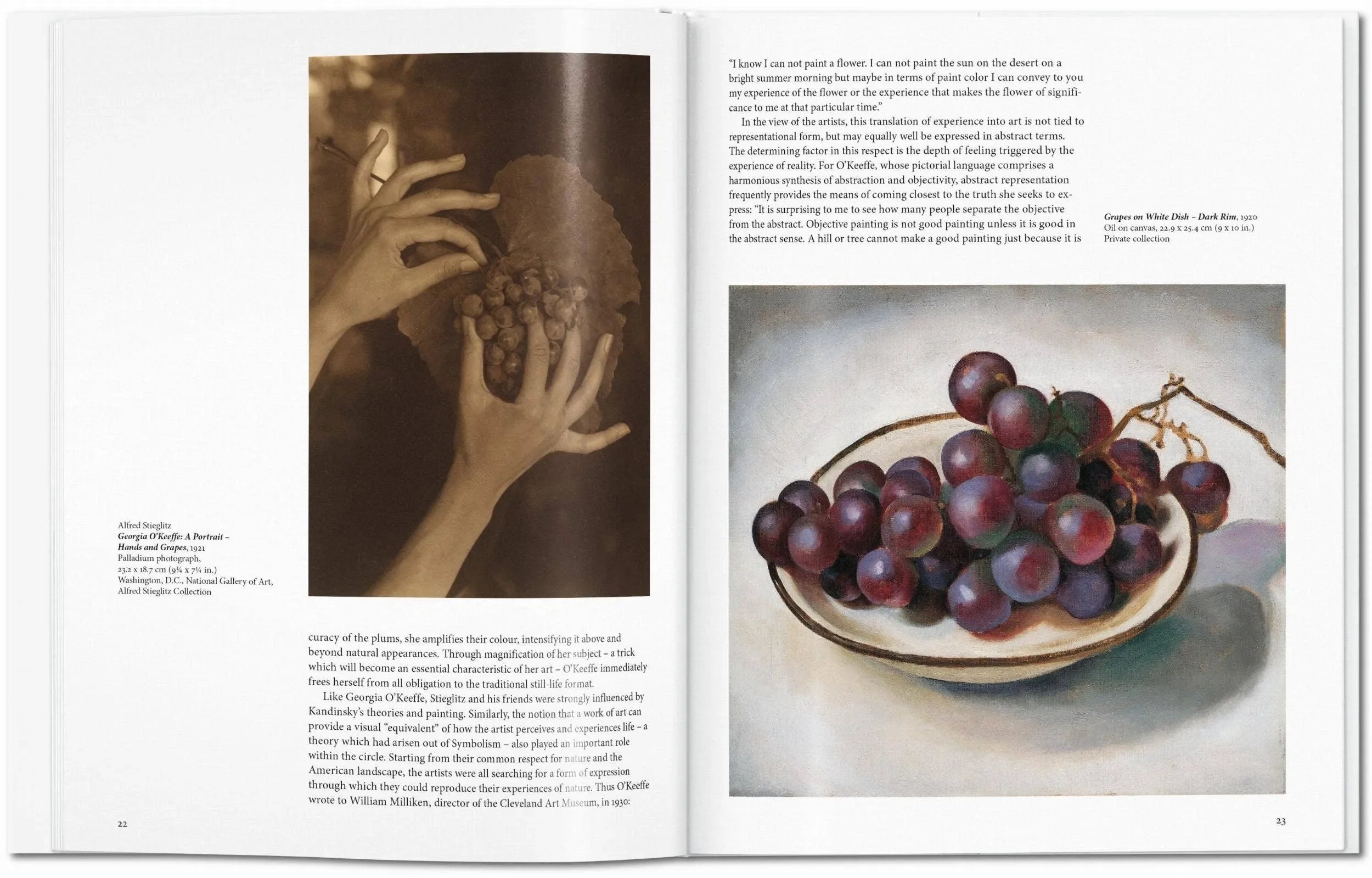 Open book showing a page with a still life painting of grapes and another with text.